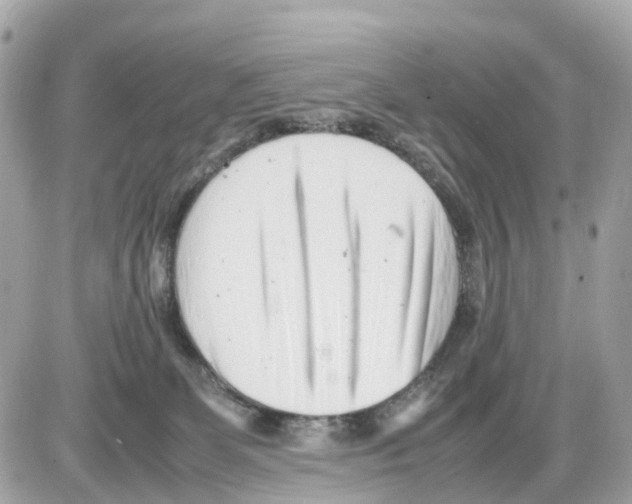 X0000085210131200704091916