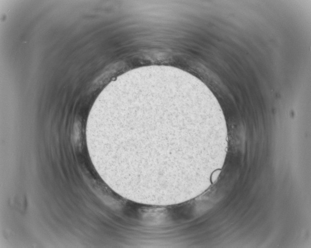 X0000085210132200704091916