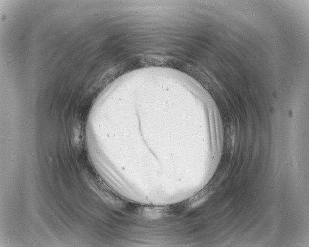 X0000085210134200704091916