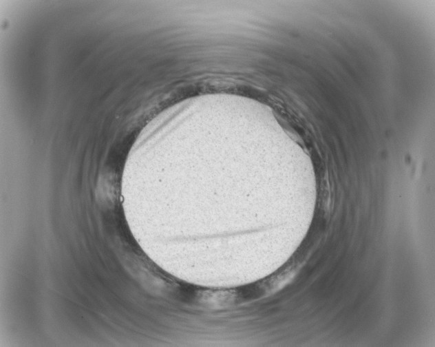 X0000085210135200704091916