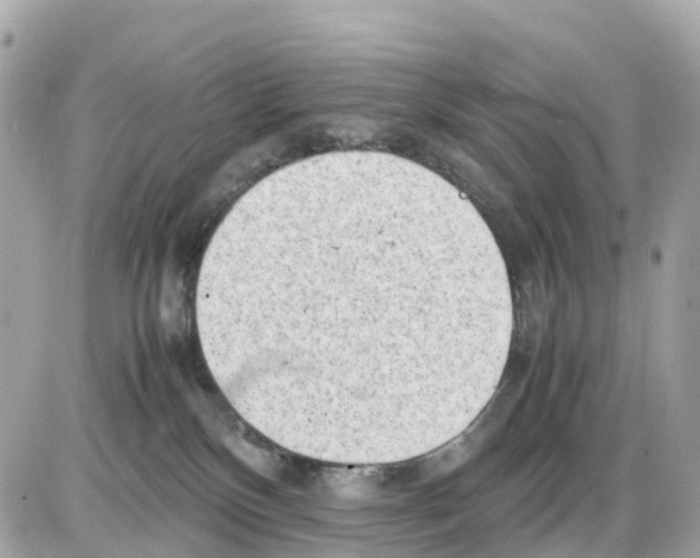 X0000085210136200704091916