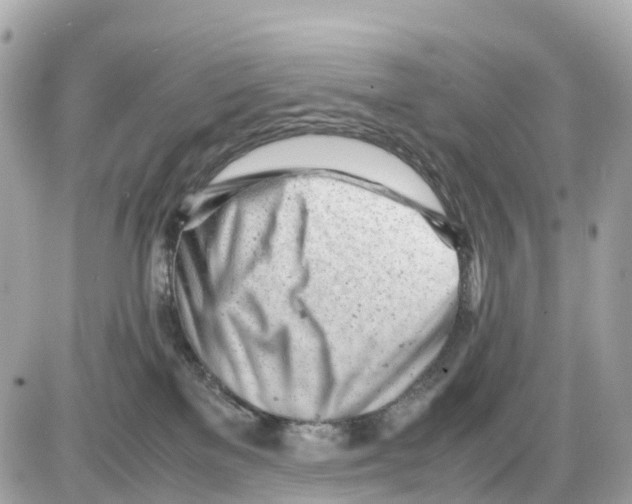 X0000085210137200704091916