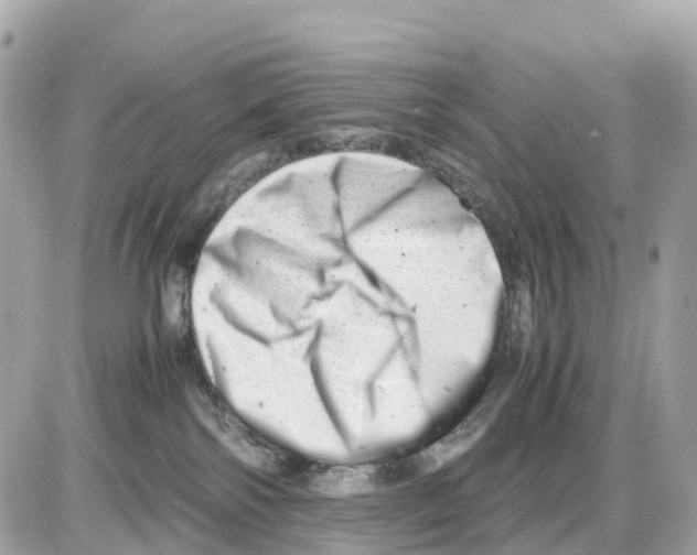 X0000085210138200704091916