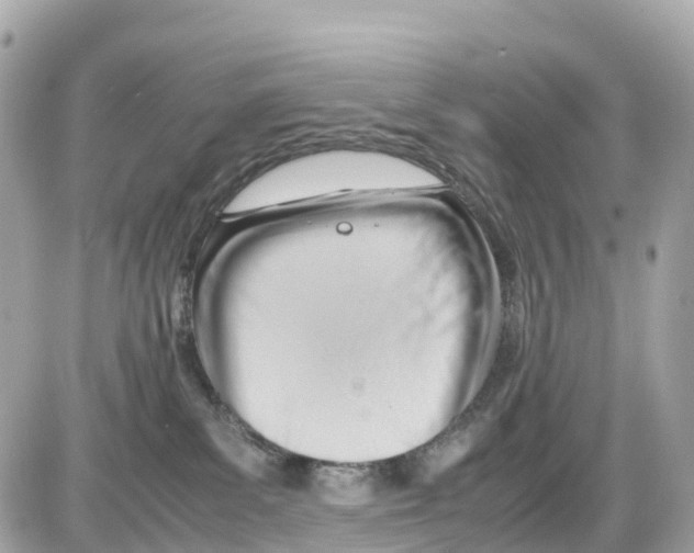 X0000085210139200704091916