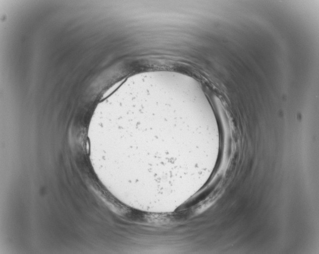 X0000085210141200704091916