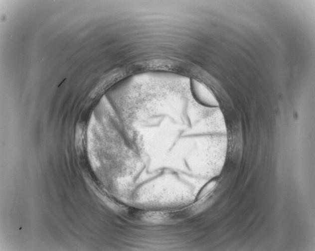 X0000085210142200704091916