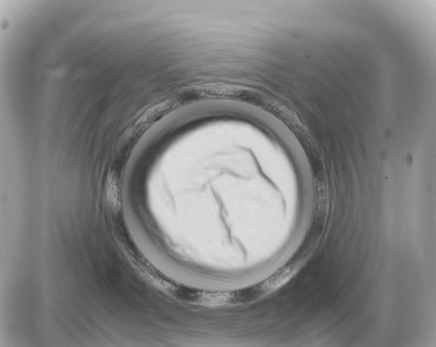 X0000085210143200704091916