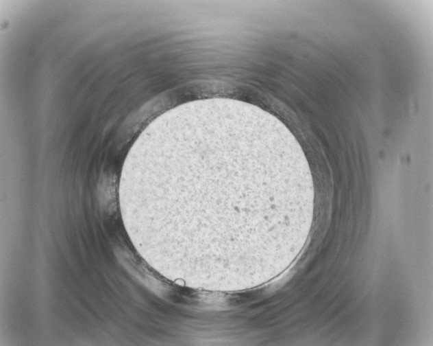 X0000085210144200704091916