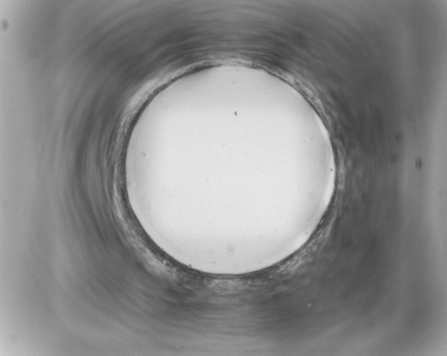 X0000085210145200704091915