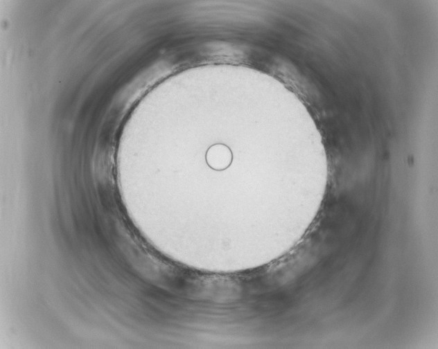 X0000085210146200704091915