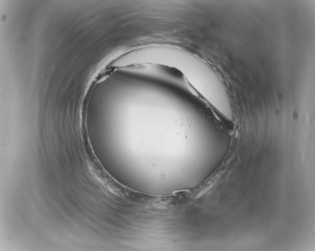 X0000085210148200704091915