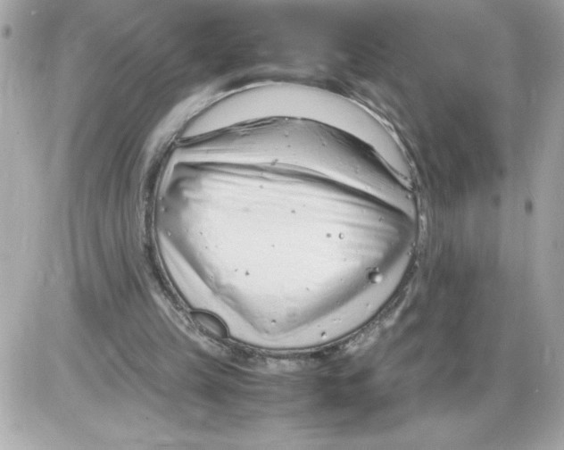 X0000085210149200704091915