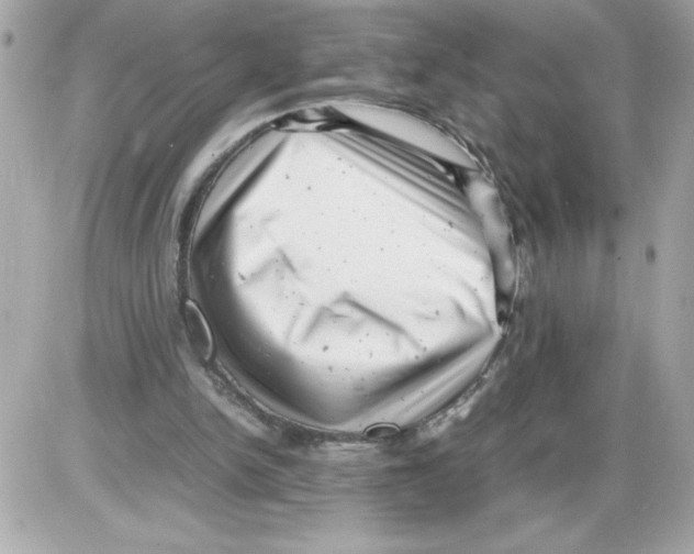 X0000085210150200704091915