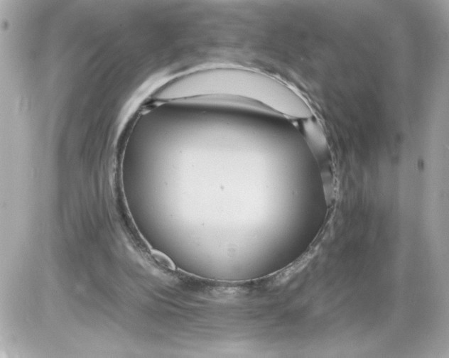 X0000085210152200704091915