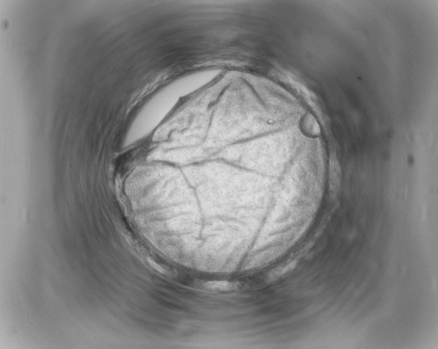 X0000085210153200704091915