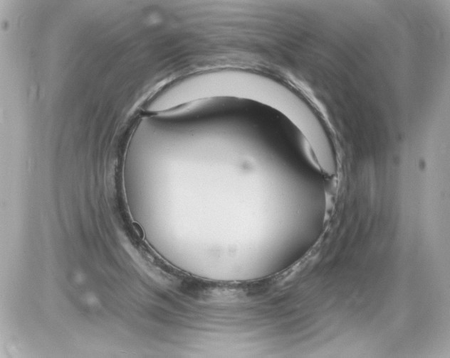 X0000085210154200704091915