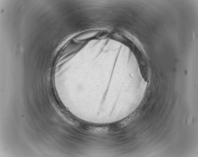 X0000085210155200704091915