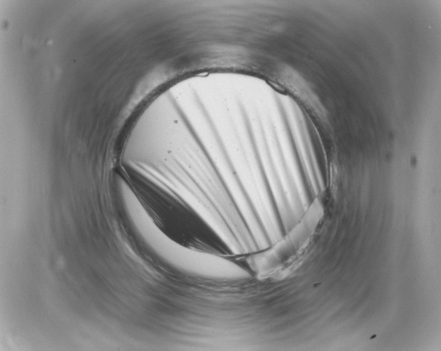 X0000085210156200704091915