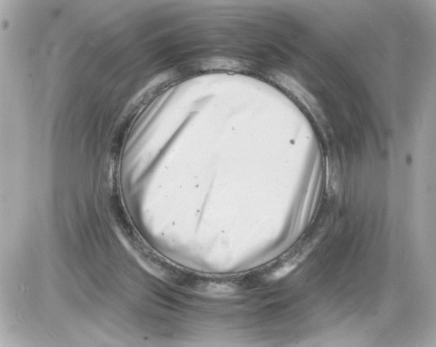 X0000085210157200704091915