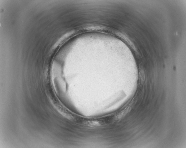 X0000085210159200704091915