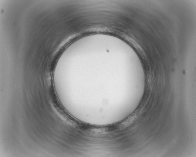 X0000085210160200704091915