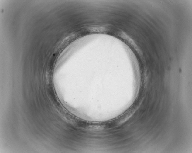 X0000085210161200704091915