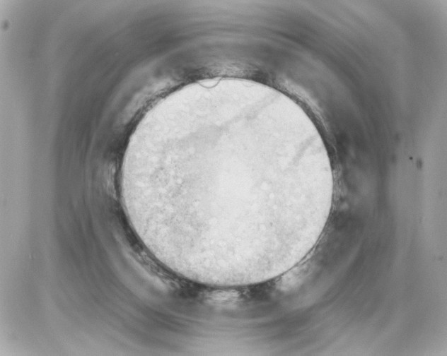 X0000085210162200704091915