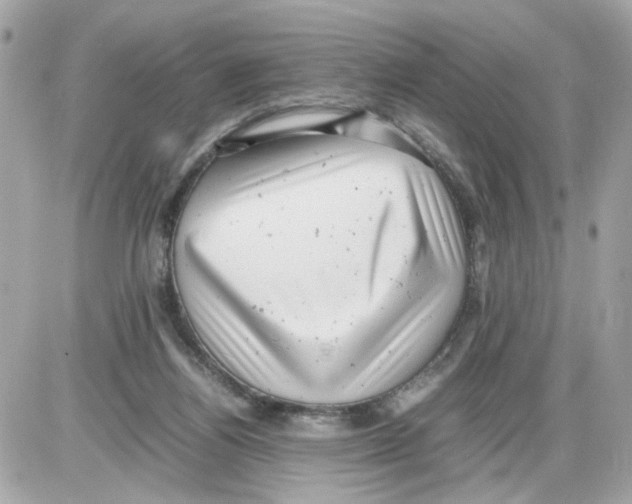 X0000085210164200704091915