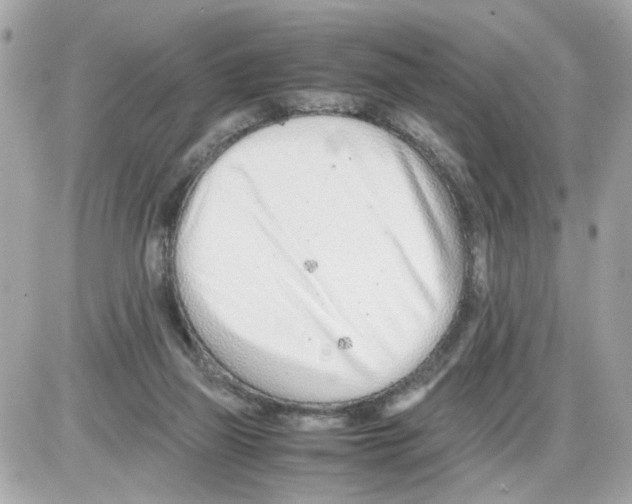 X0000085210165200704091915