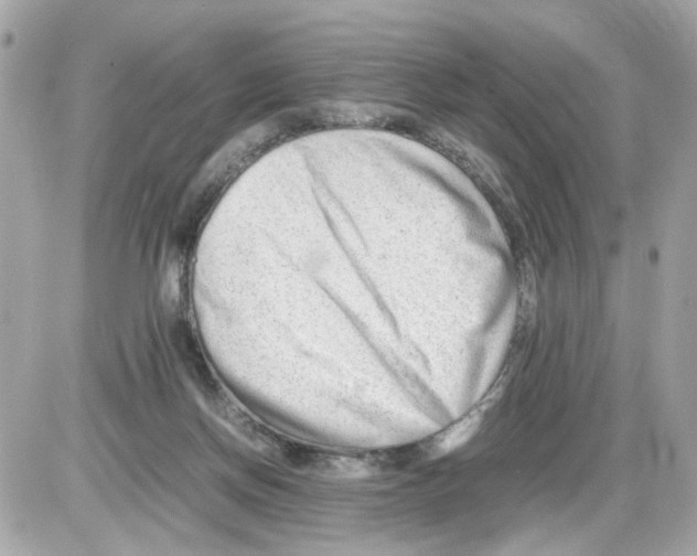 X0000085210166200704091915