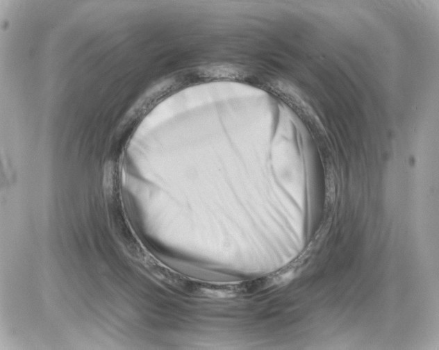 X0000085210167200704091915