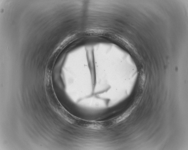 X0000085210168200704091915