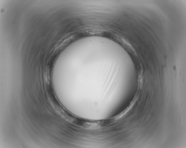 X0000085210170200704091915