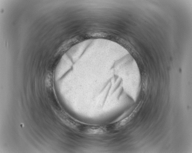 X0000085210175200704091915