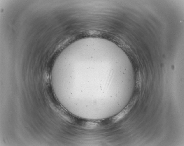 X0000085210176200704091915