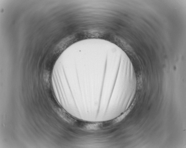 X0000085210178200704091915