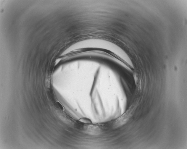 X0000085210180200704091915