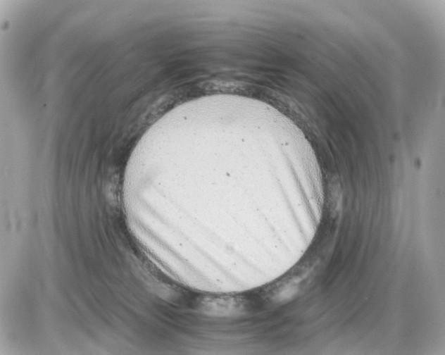 X0000085210181200704091915