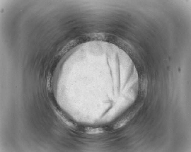 X0000085210185200704091916