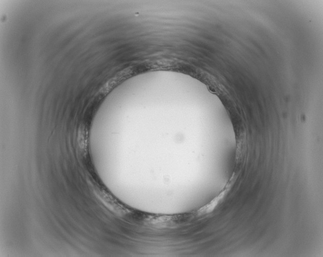 X0000085210186200704091916