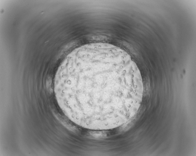 X0000085210187200704091916