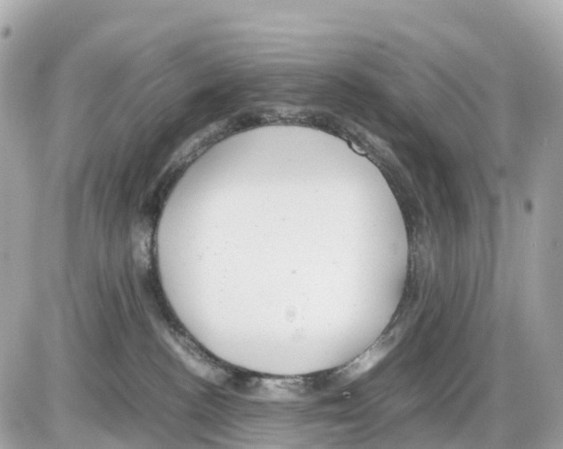 X0000085210188200704091916