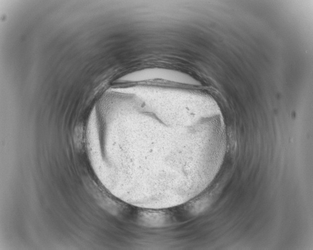 X0000085210189200704091916