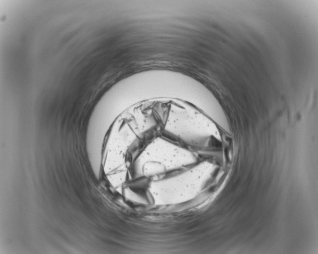 X0000085210190200704091916