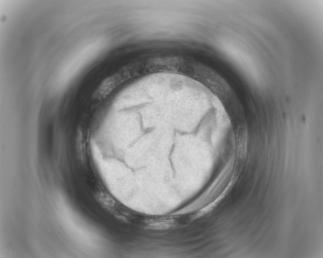 X0000085210191200704091916