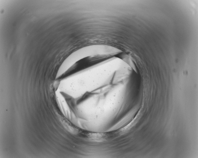 X0000085210192200704091916