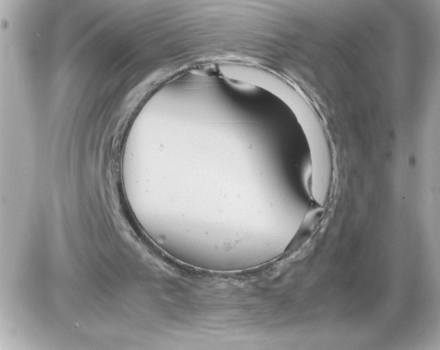 X0000085210193200704091915