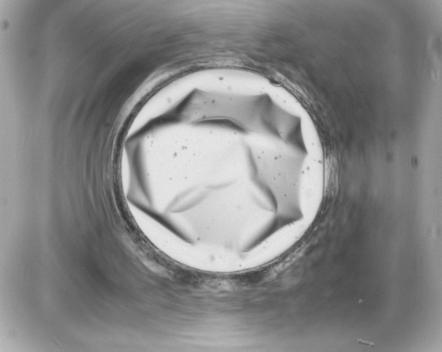 X0000085210195200704091915