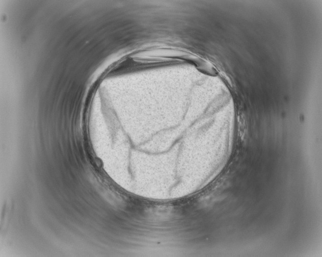 X0000085210196200704091915