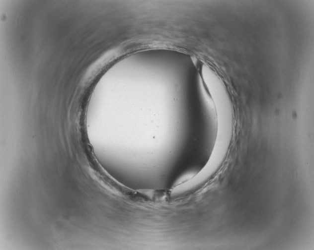 X0000085210197200704091915